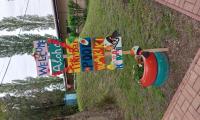 hawaii party