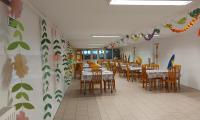 hawaii party