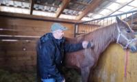 big family ranch