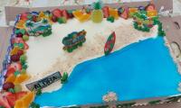 hawaii party