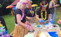 hawaii party