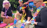 hawaii party