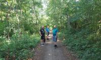 turistika lesopark velky meder
