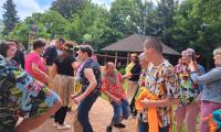 hawaii party
