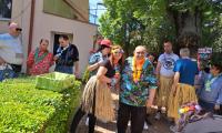 hawaii party