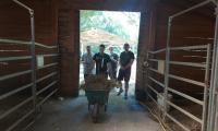 big famili ranch tomášikovo